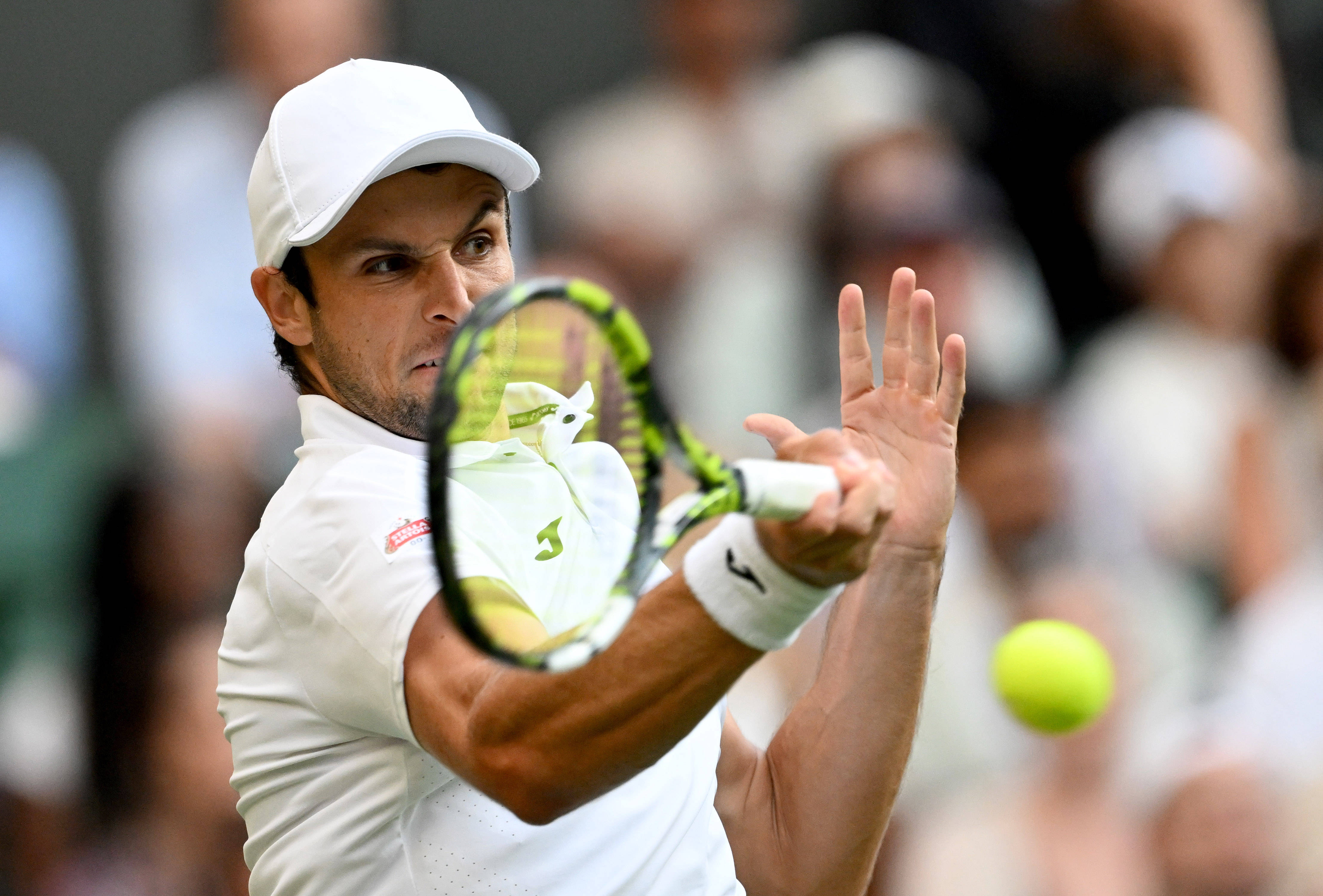 温网完胜ATP总决赛，辛纳高光表现