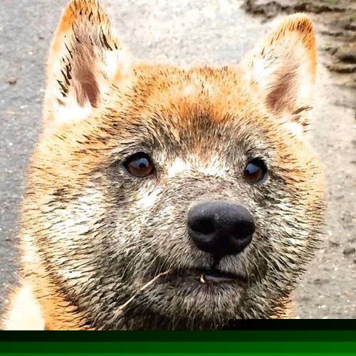 终场哨前90秒，无名英雄卡瓦哈尔一球改写百年宿命