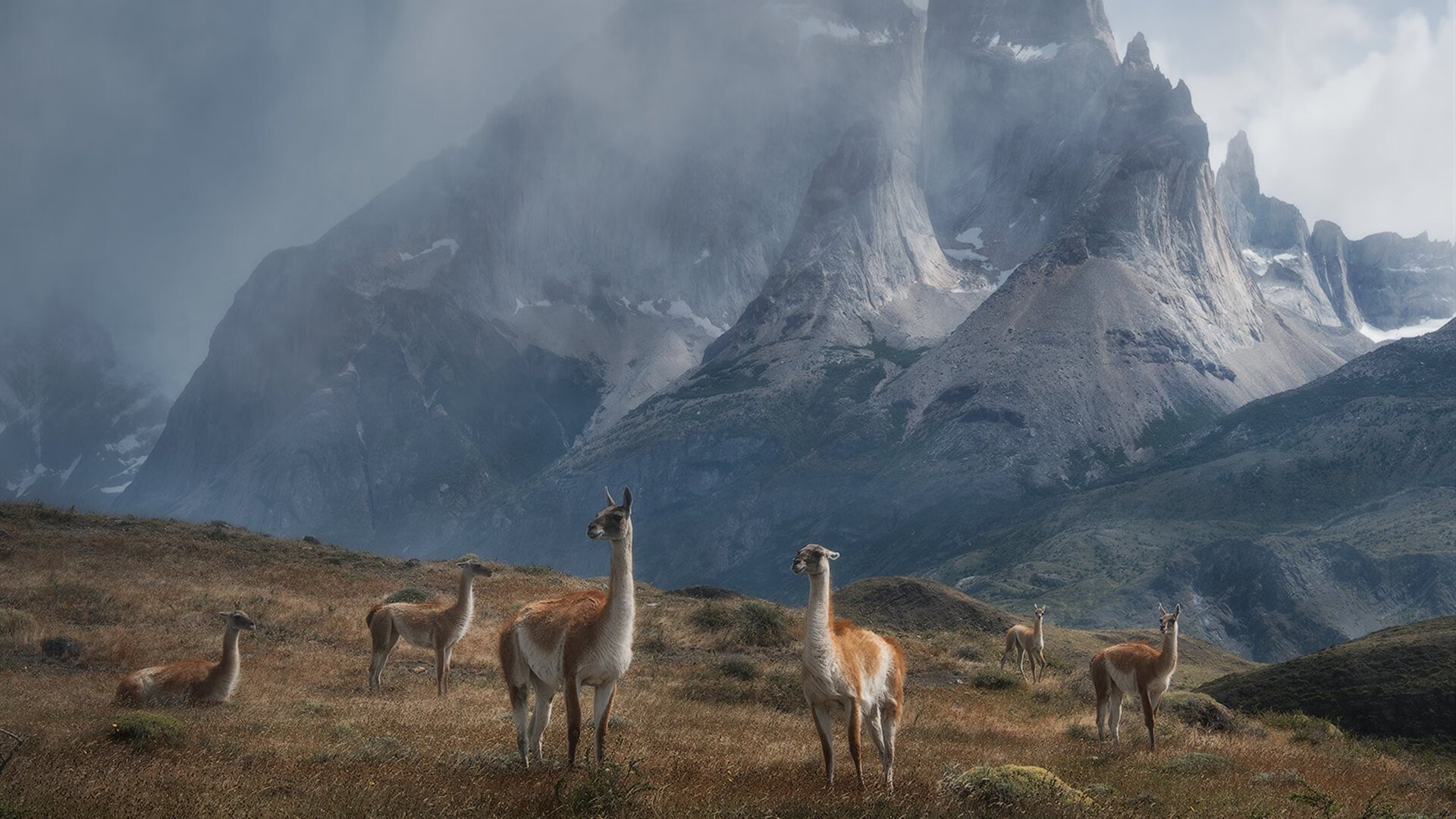 双线闪耀,尼克斯团队碾压山西 锡安西甲德比单骑救主