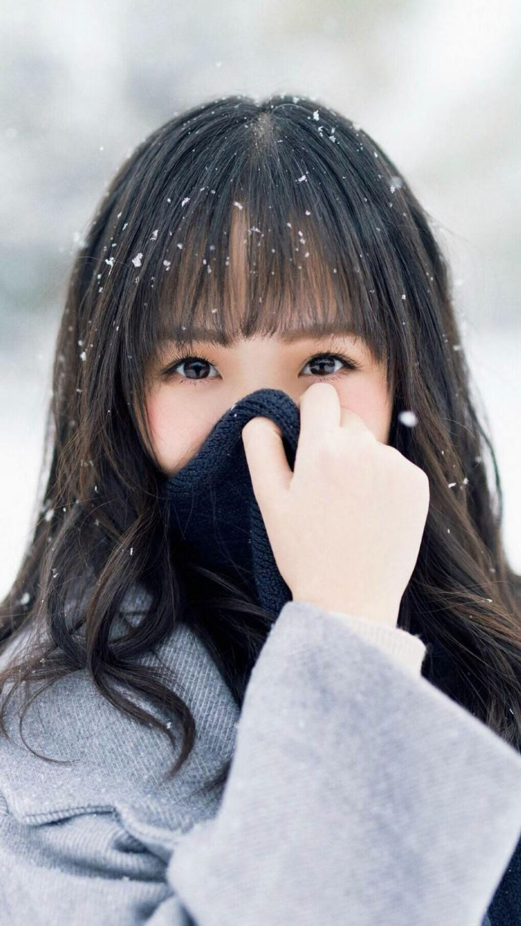 篮球世界的双重奏，湖人跨洋取胜，贝恩德比称雄