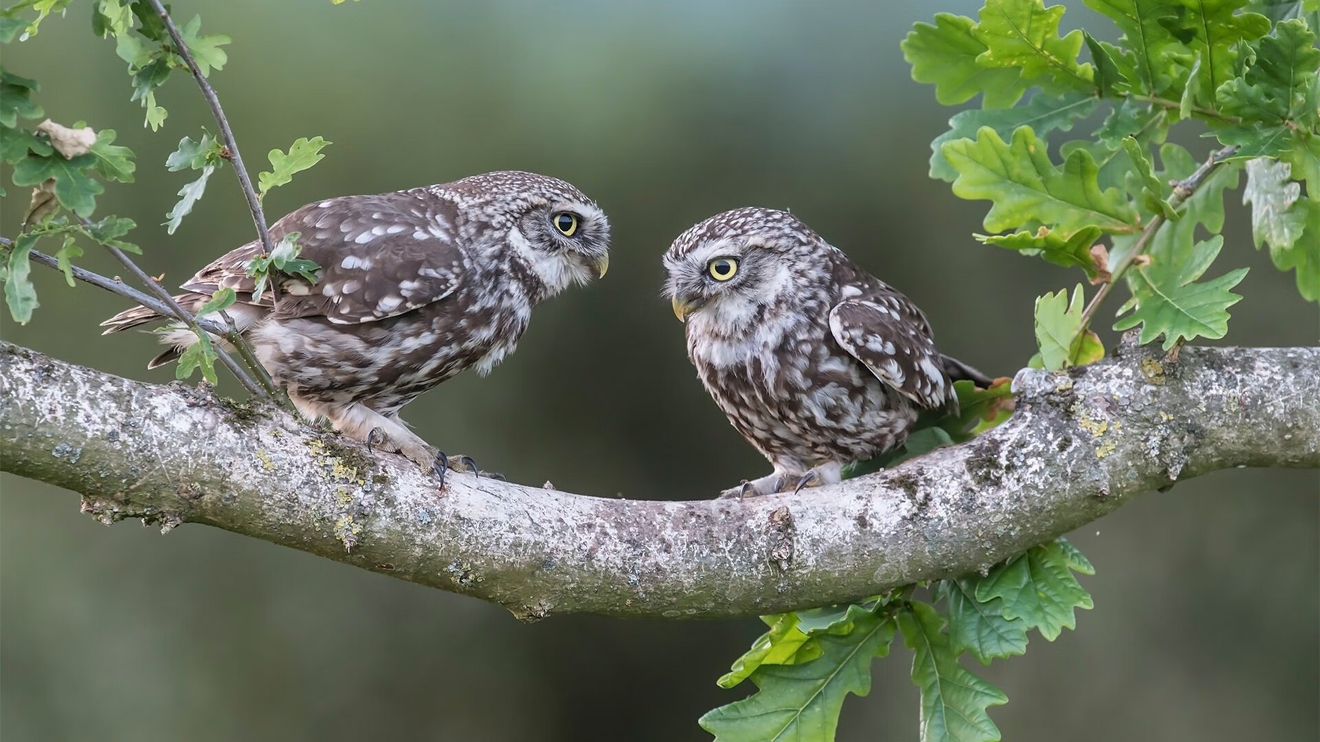 切尔西对决巴拉圭友谊赛，莫德里奇关键节点连斩三分，演绎中场大师传奇